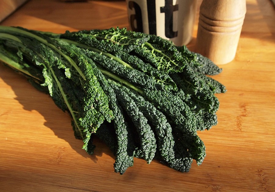 cavolo nero